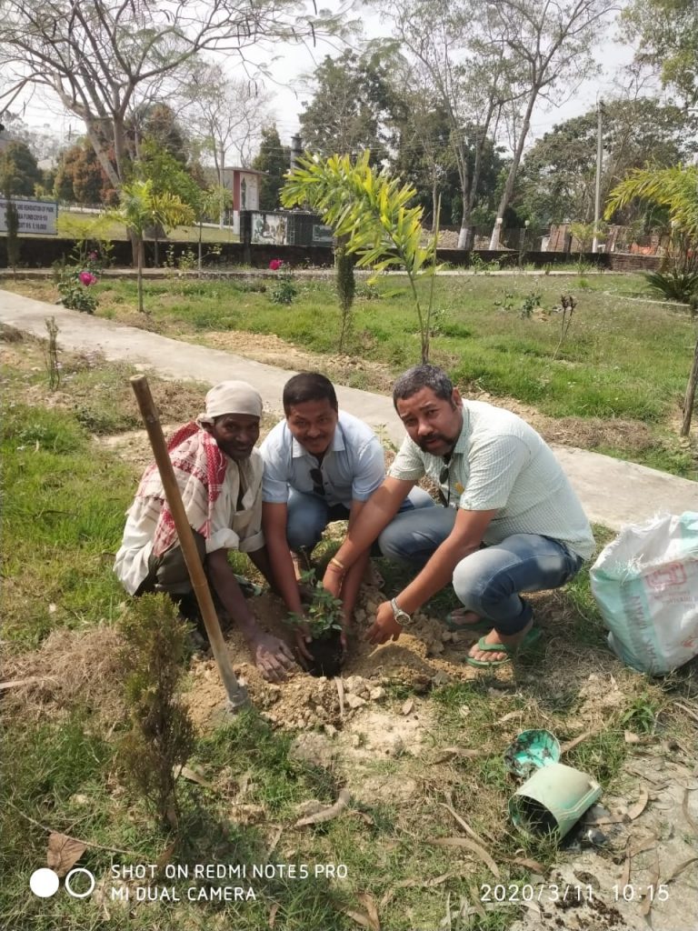 Flower plantation